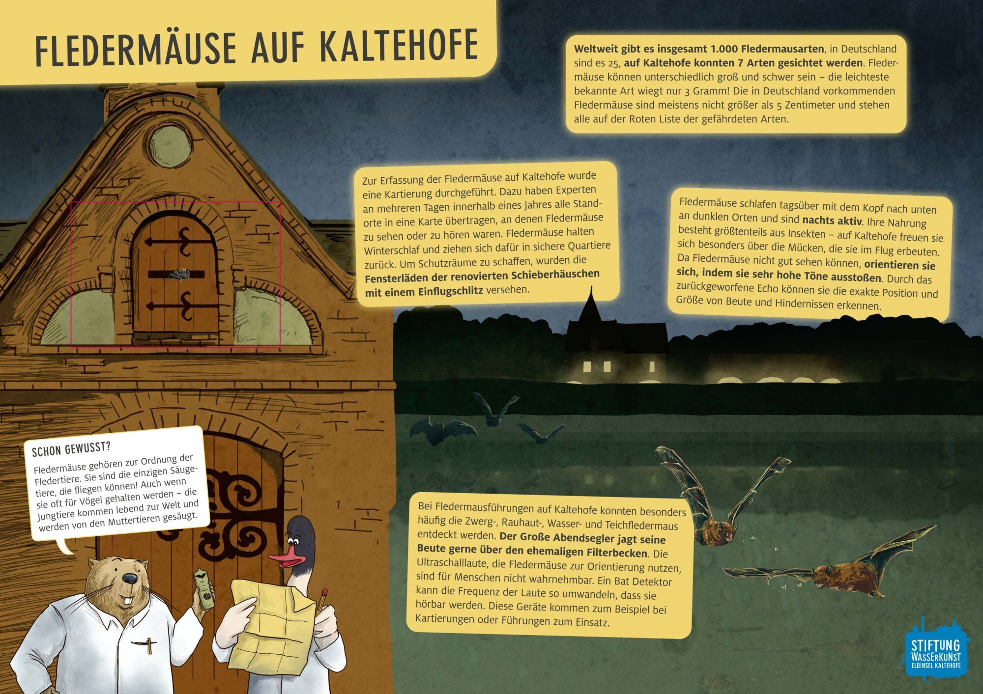 Tafel "Fledermäuse" des Naturerlebnispfads Kaltehofe