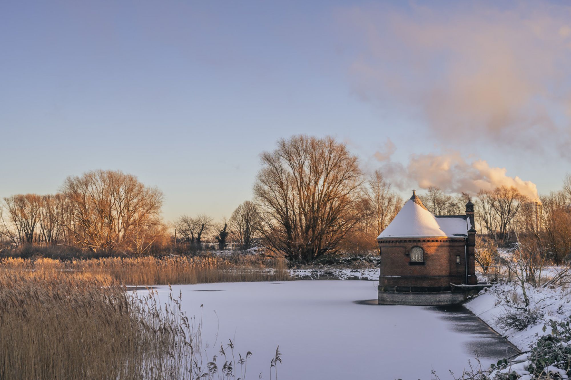 Winterszenerie auf Kaltehofe