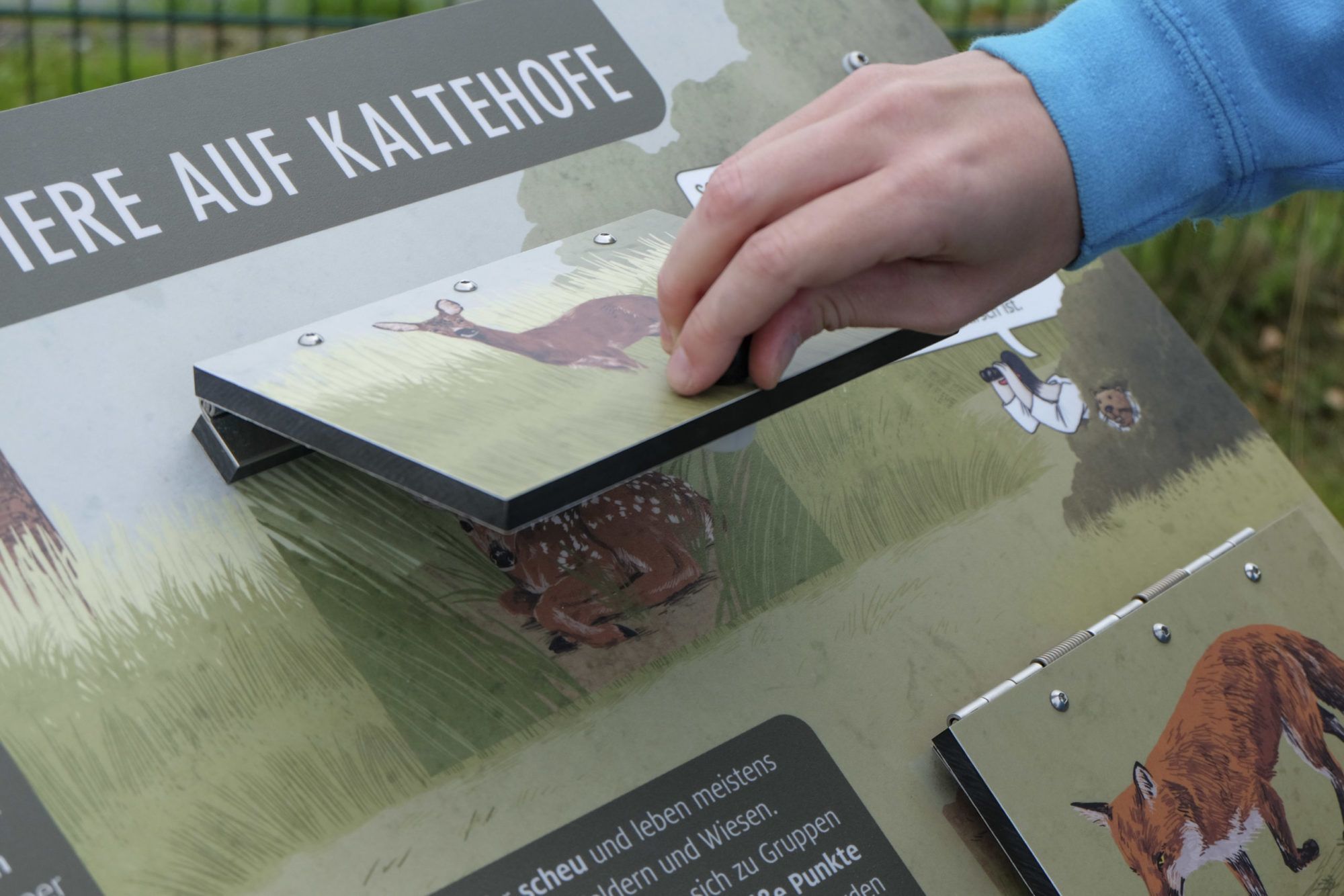Informationstafel der Wasserkunst Kaltehofe