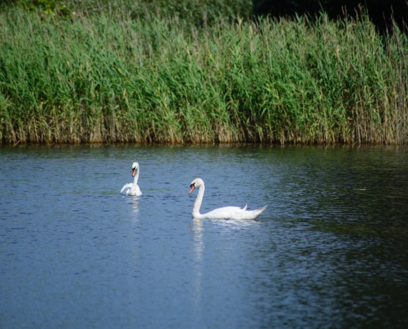 Blick auf das historische Pumpengebäude, in dem das WasserForum ist.